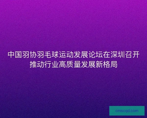 中国羽协羽毛球运动发展论坛在深圳召开推动行业高质量发展新格局