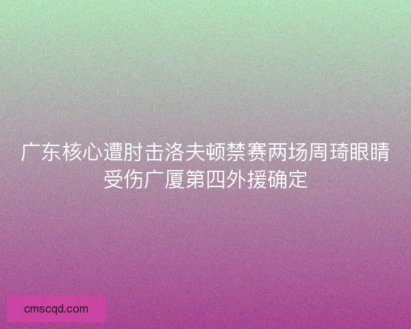 广东核心遭肘击洛夫顿禁赛两场周琦眼睛受伤广厦第四外援确定