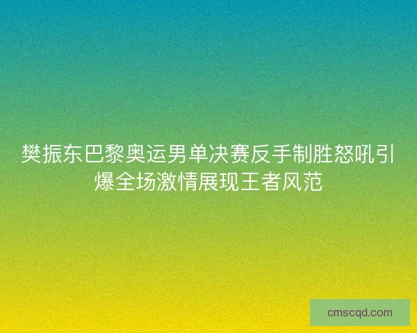 樊振东巴黎奥运男单决赛反手制胜怒吼引爆全场激情展现王者风范